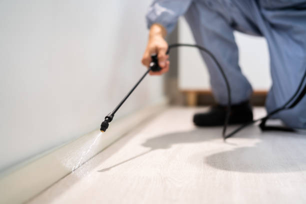 Bed Bug Pre-Treatment Preparation Assessment in Seymour