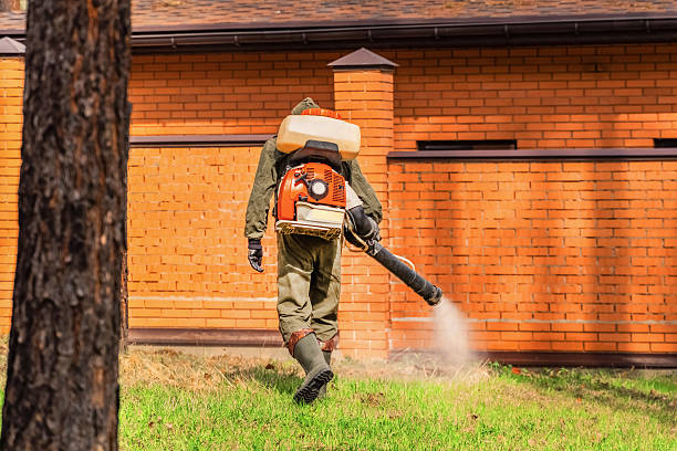 Bed Bug Clearance Verification and Documentation in Seymour